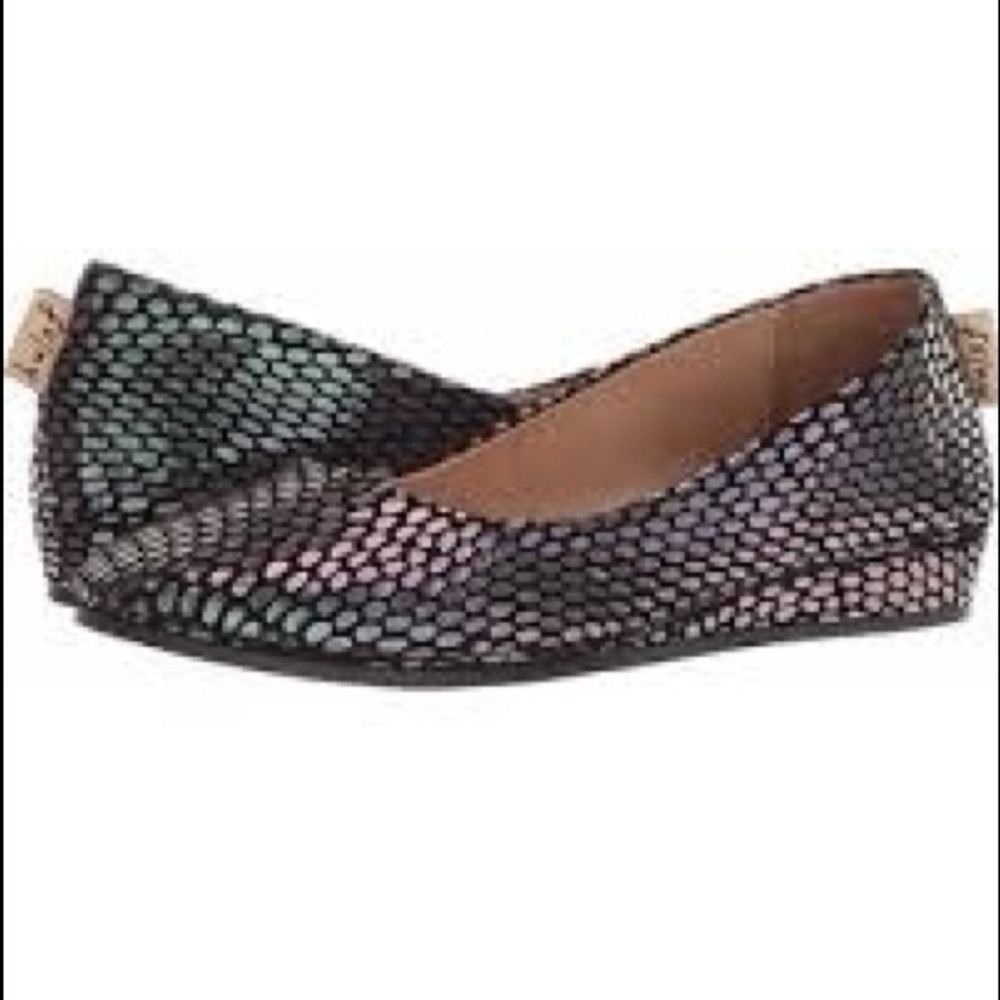 LAST CHANCE FS/NY flats 6